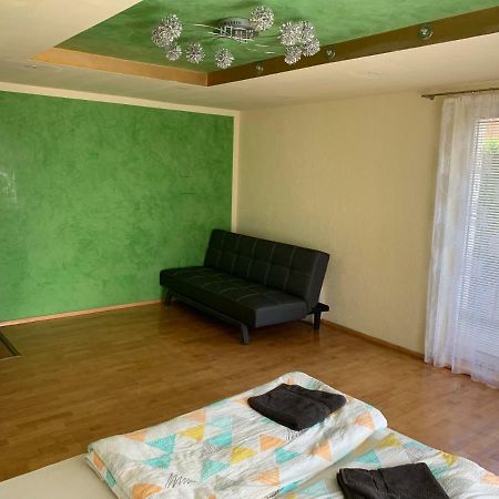 Nexi S Appartement An Der Enns 9 Radstadt Luaran gambar